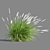 Compact Pennisetum Setaceum Grass 3D model small image 5