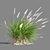 Compact Pennisetum Setaceum Grass 3D model small image 6