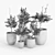 Rustic Neo Planters: Stylish and Functional 3D model small image 3