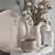 Cotton Bouquet with Vase - Elegant Decor Set 3D model small image 2