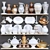 Elegant Dinnerware Set 3D model small image 1