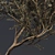 European Olive Tree in Concrete Vase 3D model small image 2