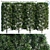 Evergreen Yew Plum Pine Hedge 3D model small image 1