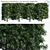 Podocarpus Hedge: Yew Plum Pine 3D model small image 1