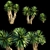 Yucca Tree: 3 Model Parts 3D model small image 1