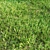 Lush Green Landscaping Grass 3D model small image 1
