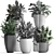 Exotic Houseplant Collection 3D model small image 3