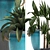 Exotic Houseplant Collection 3D model small image 2