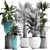 Exotic Houseplant Collection 3D model small image 3