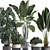 Tropical Plant Collection: Exotic Houseplants 3D model small image 2