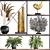 Exotic Plant Decor Set 3D model small image 2