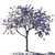 Jacaranda mimosifolia Tree: Vibrant and Majestic 3D model small image 2