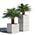 Lifelike Cycas Palm Tree 3D model small image 2