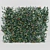 Lush Thunbergia Alata Ivy: Detailed, Colorful 3D Model 3D model small image 2