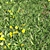 Lush Green Grass Landscape 3D model small image 3