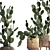 Exotic Houseplant Collection - Opuntia Microdasys 3D model small image 2