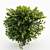 Cherry Laurel Hedge: Versatile and Realistic 3D model small image 3