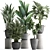 Exotic Houseplant Collection 3D model small image 1