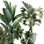 Exotic Houseplant Collection 3D model small image 2