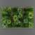 Green Oasis: Vertical Plant Collection 3D model small image 1