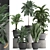 Exotic Plant Collection 3D model small image 1