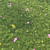 Realistic Grass Landscaping Model 3D model small image 2