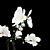 Elegant Floral Arrangement 3D model small image 2