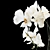 Elegant Blooming Bouquet 3D model small image 5