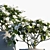 Fragrant Gardenia in Pots 3D model small image 2
