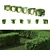 Golden Hedge | Cornus sericea `Flaviramea` 3D model small image 3