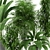 Tropical Oasis: Houseplant Collection 3D model small image 2