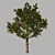 AppleTree Model 3D model small image 1