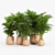 Tula Planter: Stylish and Versatile 3D model small image 1