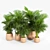 Tula Planter: Stylish and Versatile 3D model small image 2