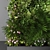 Modern Green Wall Planter: Introducing Фитостена 3D model small image 3