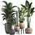 Exotic Plant Collection: Palms, Cacti, and More 3D model small image 1