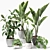 Tropical Greenery Set: Sansevieria, Japanese Banana, Rubber Tree, Pilea 3D model small image 1