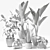 Tropical Greenery Set: Sansevieria, Japanese Banana, Rubber Tree, Pilea 3D model small image 3