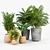 Tula Ring Planters: Stylish Pottery Barn Set 3D model small image 1