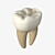 Advanced Dental Molar Geometry 3D model small image 1