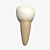 Advanced Dental Molar Geometry 3D model small image 3