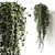 Ivy Wonder Long - Beautiful Hanging Plant 3D model small image 1