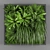 PhytoWall: Vertical Green Oasis 3D model small image 1