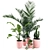 Lush Greenery Collection: 8 Stunning Plant Models 3D model small image 1
