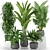 Tropical Indoor Plants Collection 3D model small image 1
