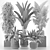 Tropical Indoor Plants Collection 3D model small image 2