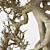 Elegant Bonsai Tree Sculpture 3D model small image 2