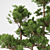 Elegant Bonsai Tree Sculpture 3D model small image 2