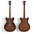 Ibanez AS53-TF: High Poly Model 3D model small image 1
