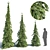 Elegant Weeping White Spruce 3D model small image 1